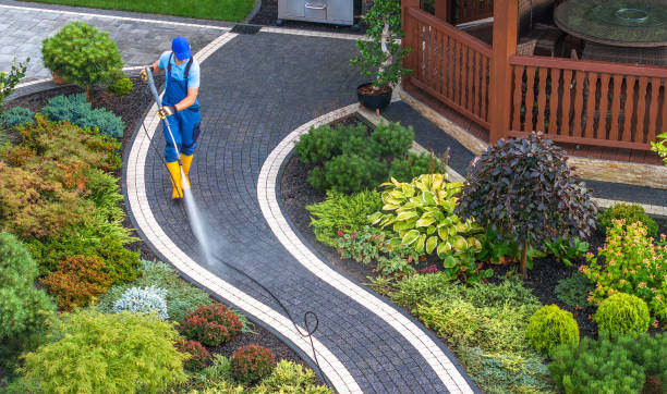 Best Power Washing Near Me  in Wolf Creek, UT